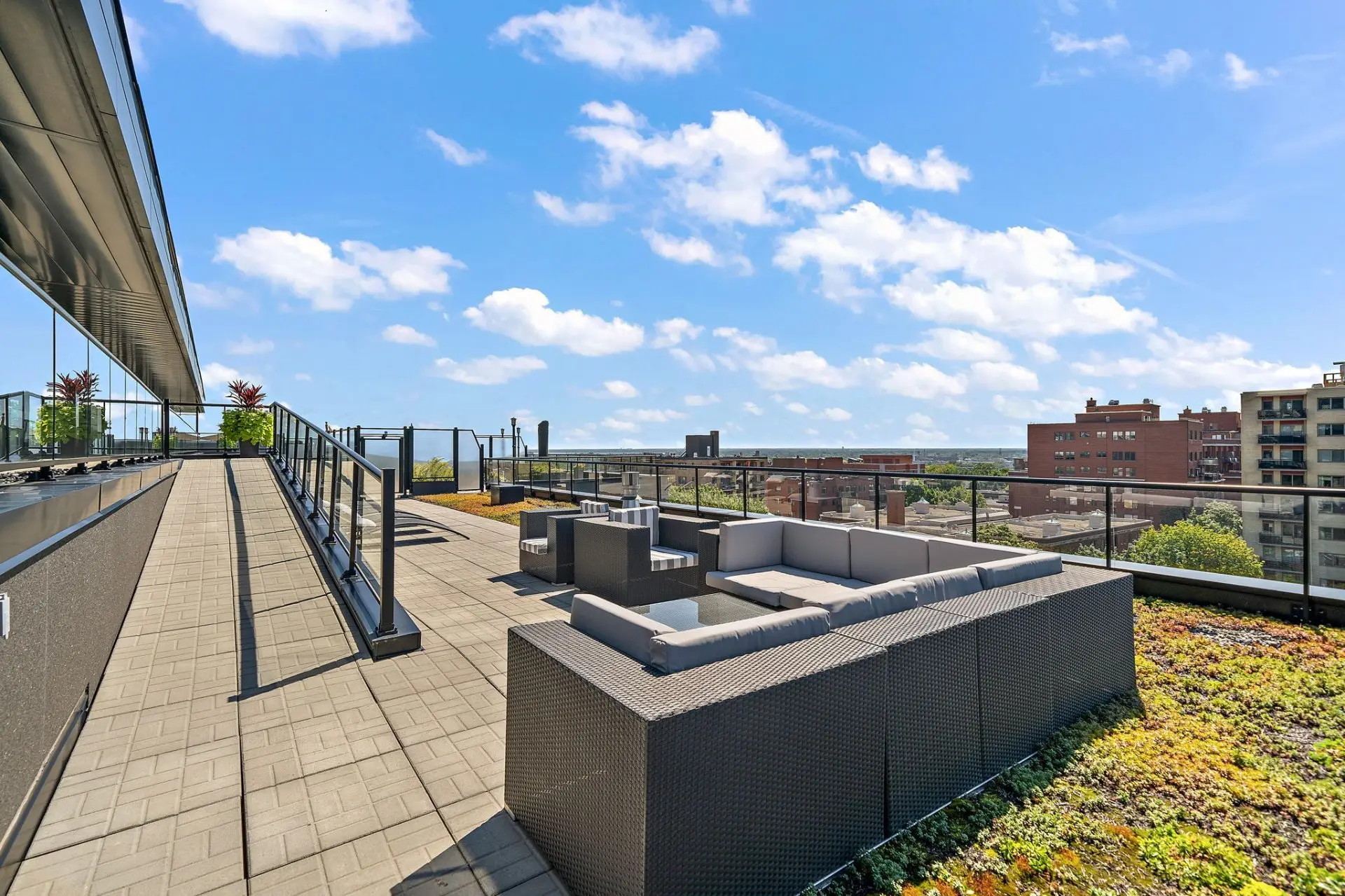 Le 215 Redfern — 2